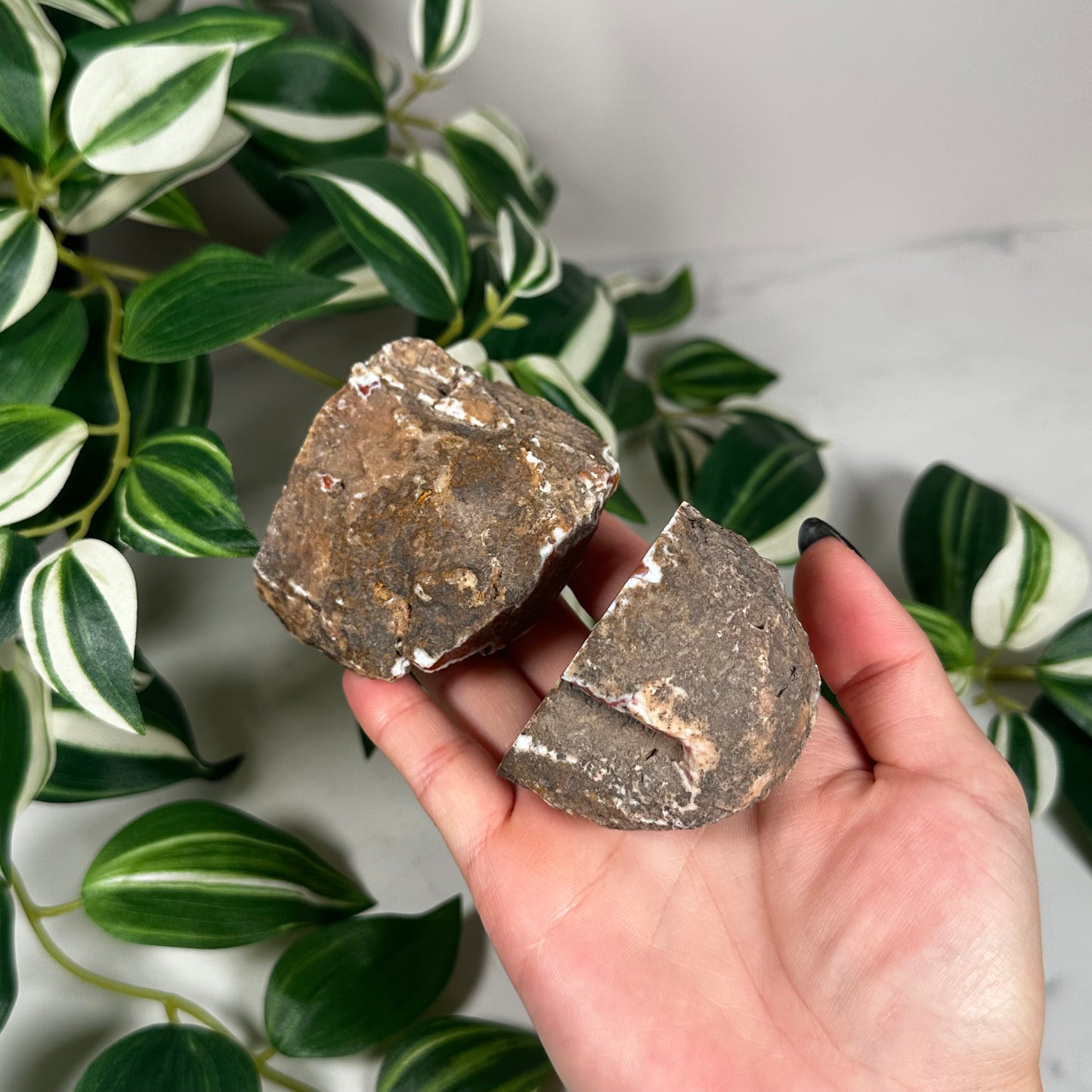 Red Laguna agate pair