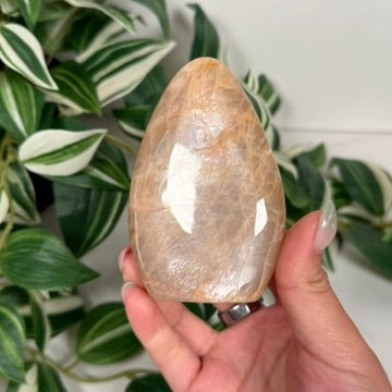 Peach moonstone freeform 25