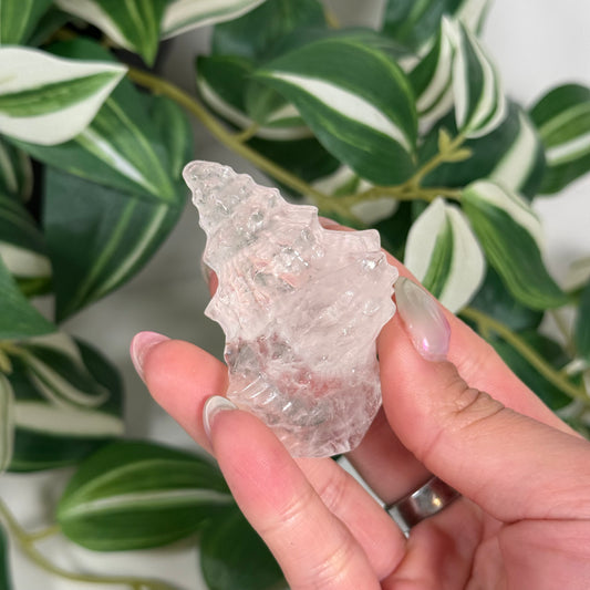 Clear quartz shell
