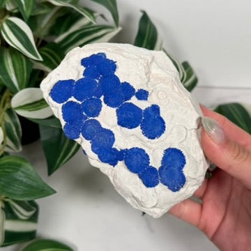Azurite sun 220