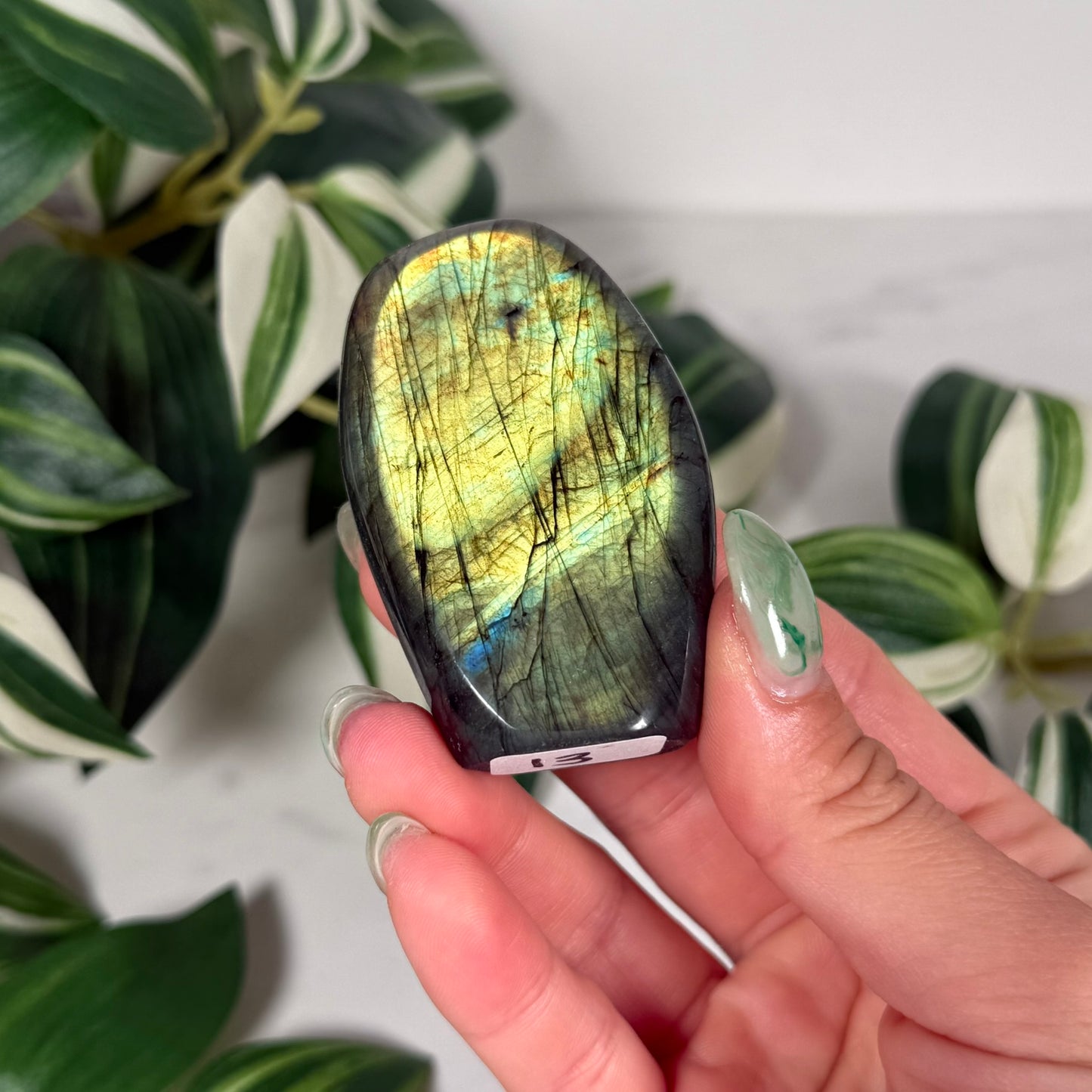 Labradorite freeform 13