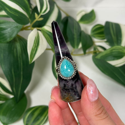 Fluorite ring holder
