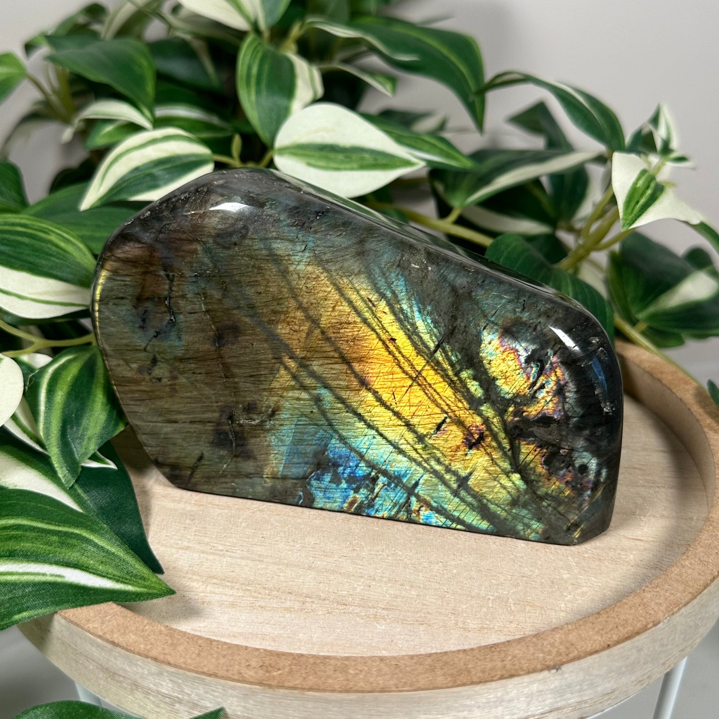 Labradorite freeform 102