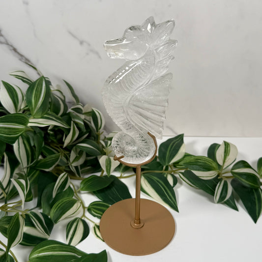 Clear quartz seahorse on stand A