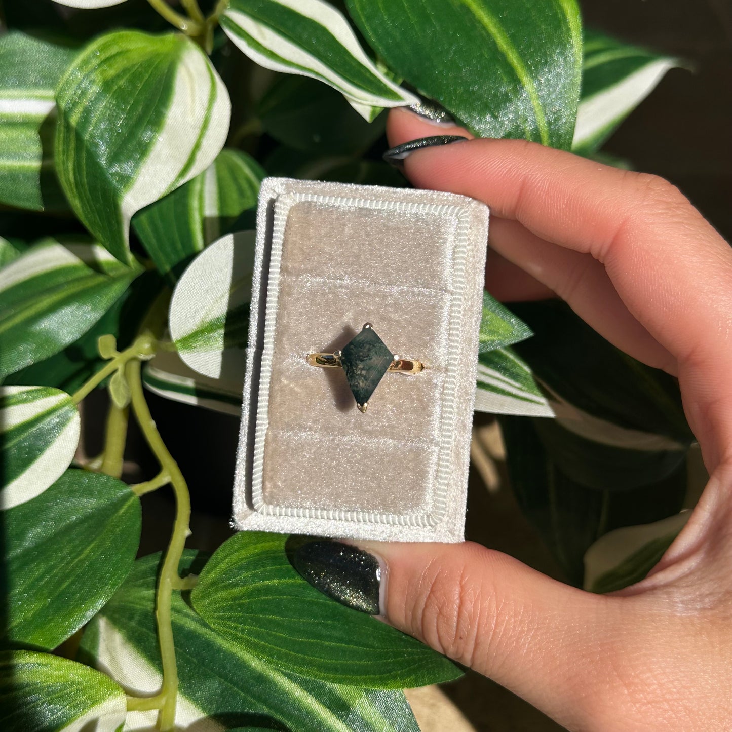 Gold plated moss agate ring (Sizes 5, 6 )