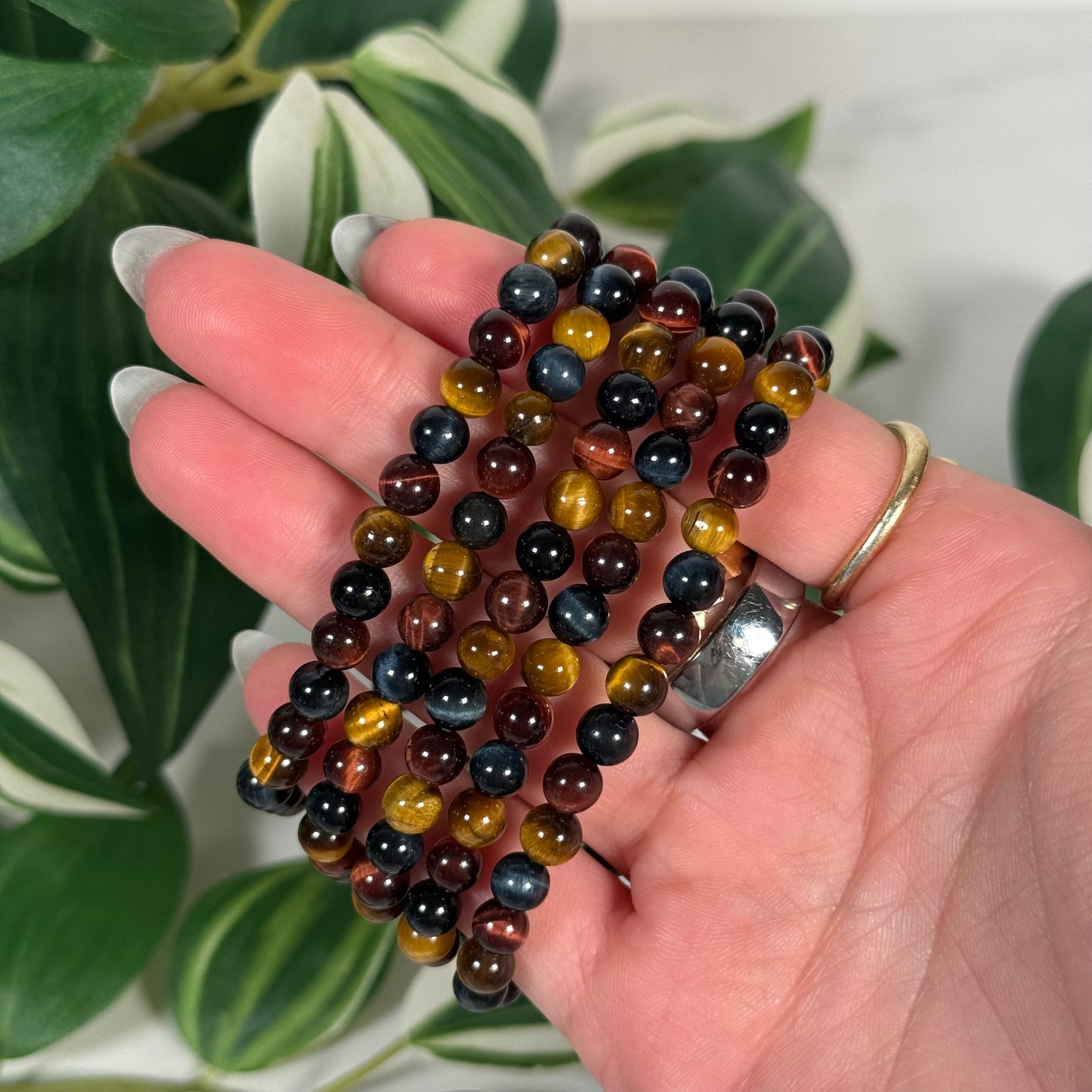 Multicolor tigers eye bracelet 6mm