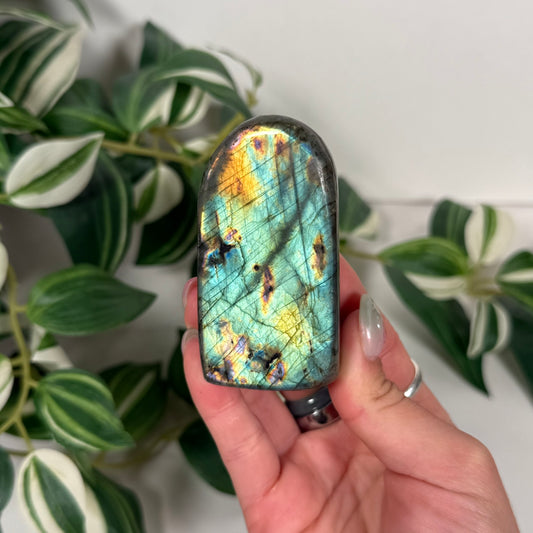Labradorite freeform 18
