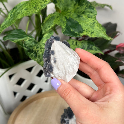 Octahedral fluorite on candle quartz