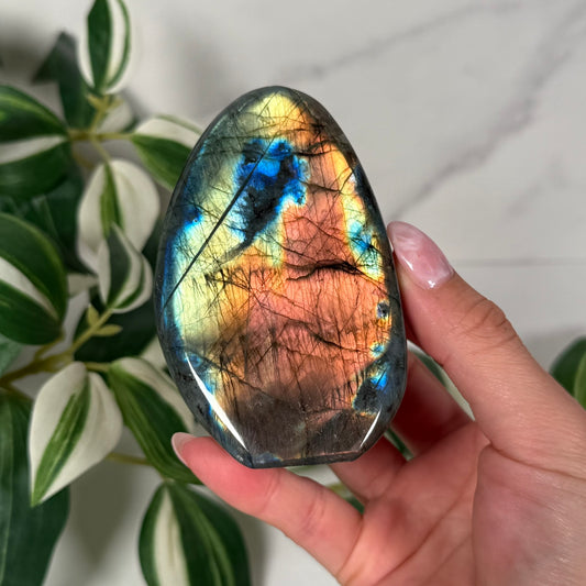 Labradorite freeform 41