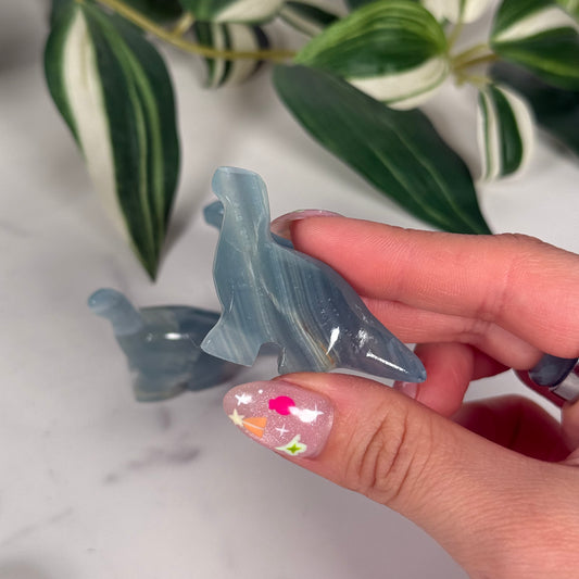 Blue onyx mini aptosaurus