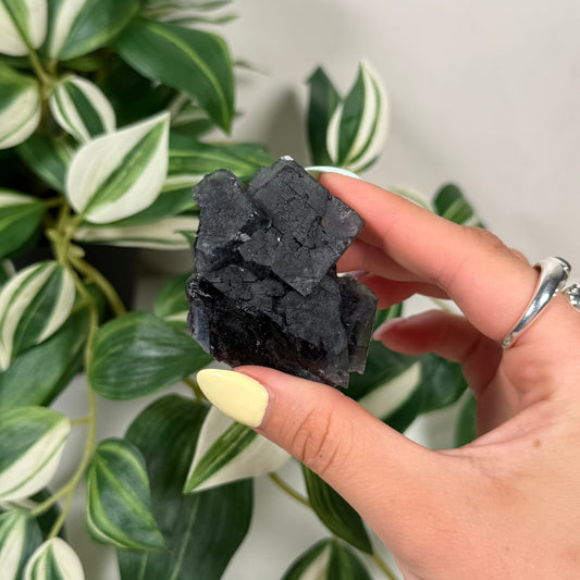Okorusu fluorite 54