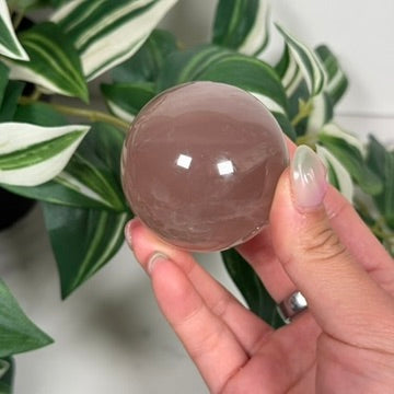 Star rose quartz sphere 29*
