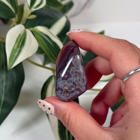 Swazi agate tumble A