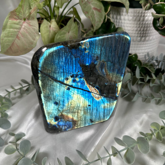 Labradorite freeform #187