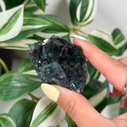 Okorusu fluorite 61