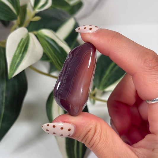Swazi agate tumble A