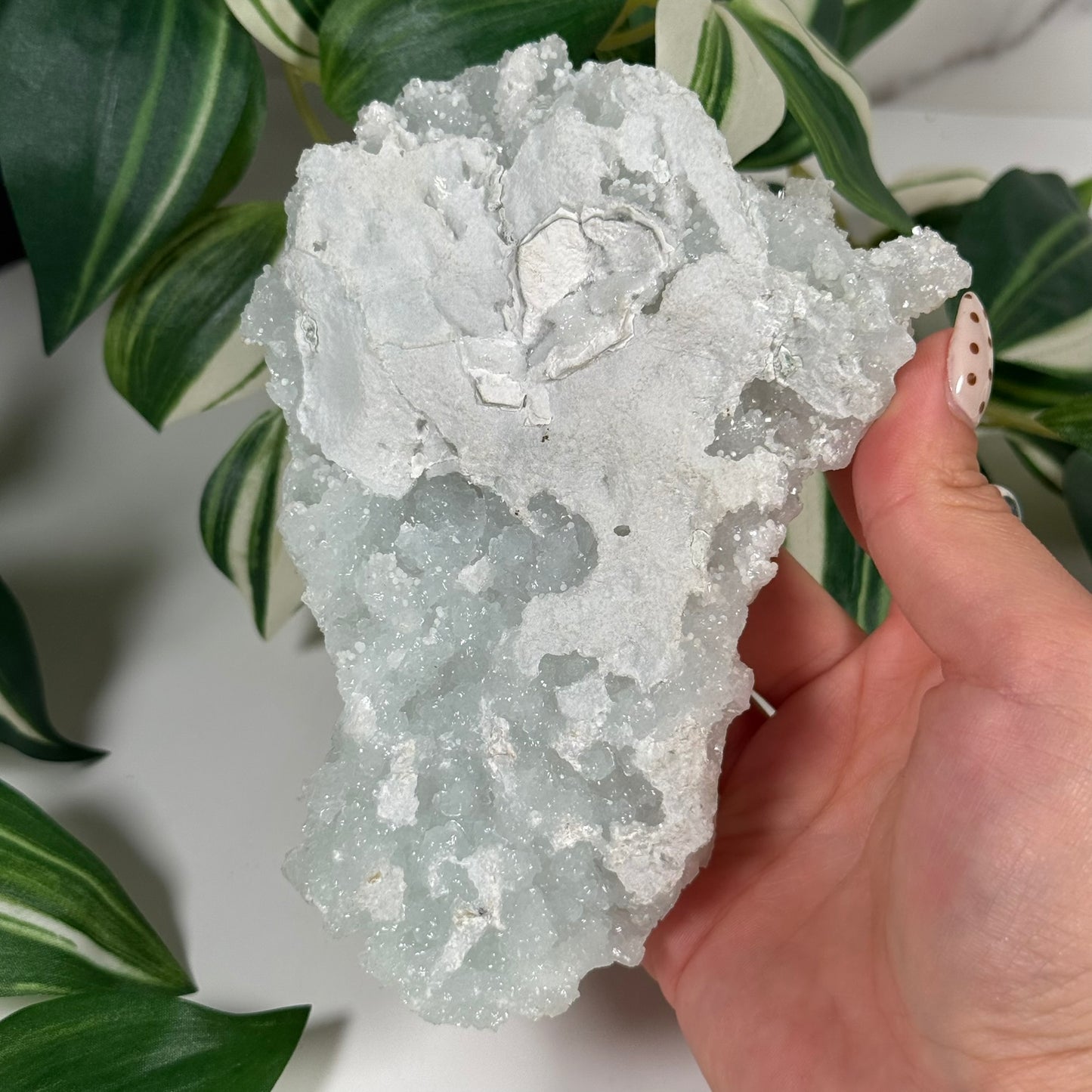 Minty light green prehnite 123