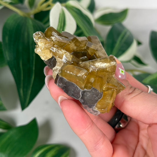 Golden Barite with Fluorite 40a