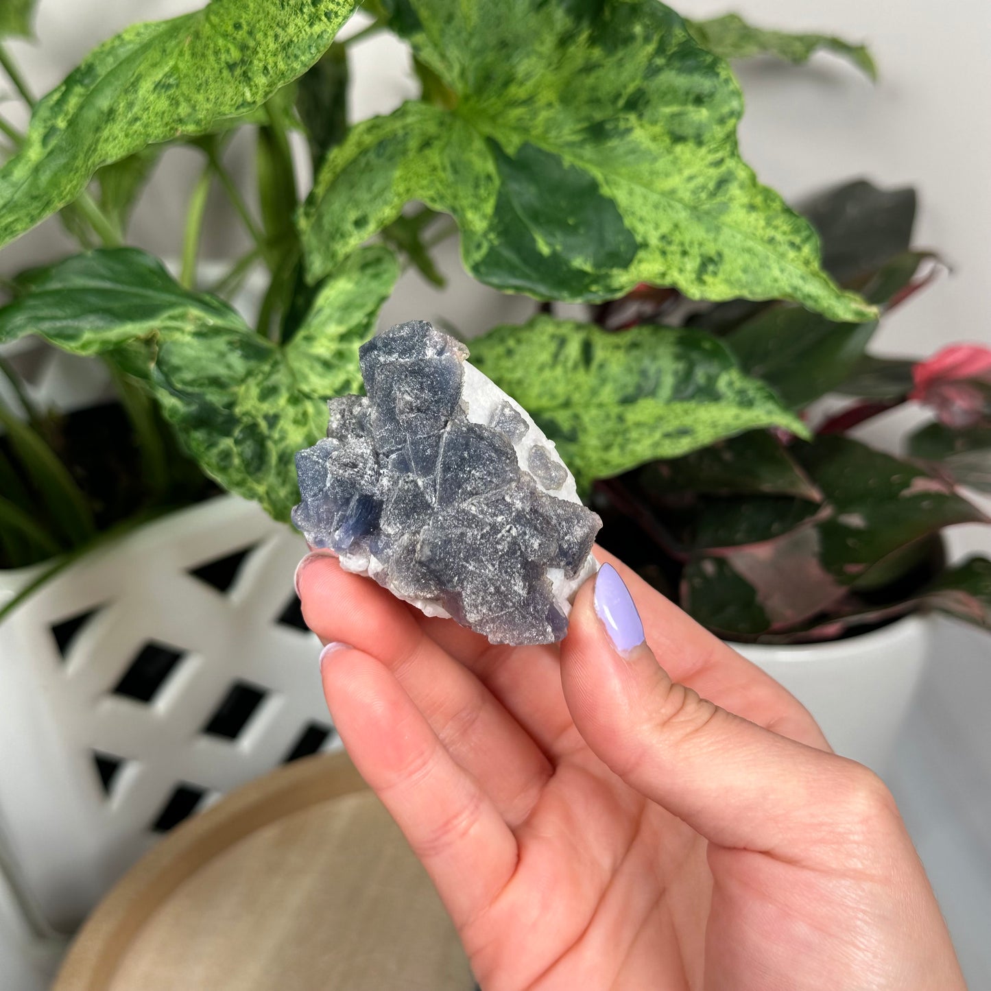 Octahedral fluorite on candle quartz