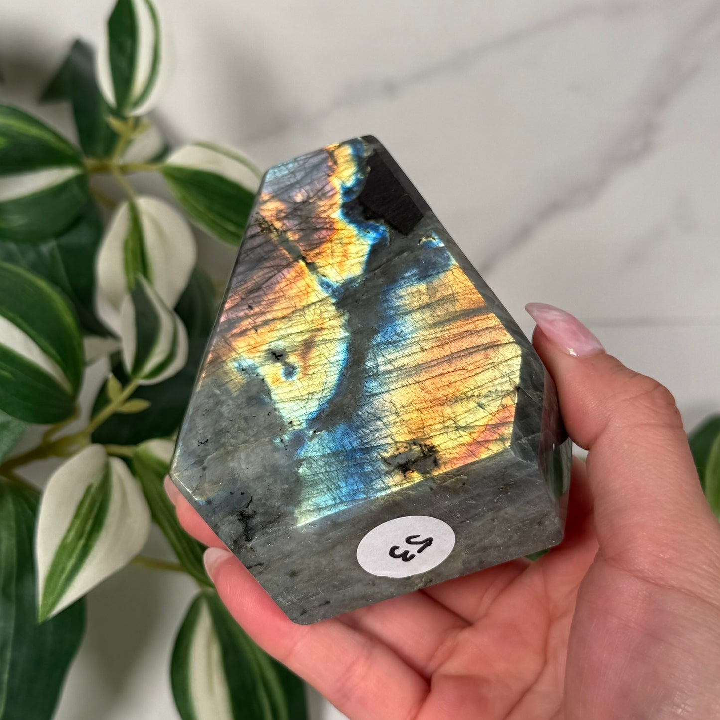 Labradorite freeform 53