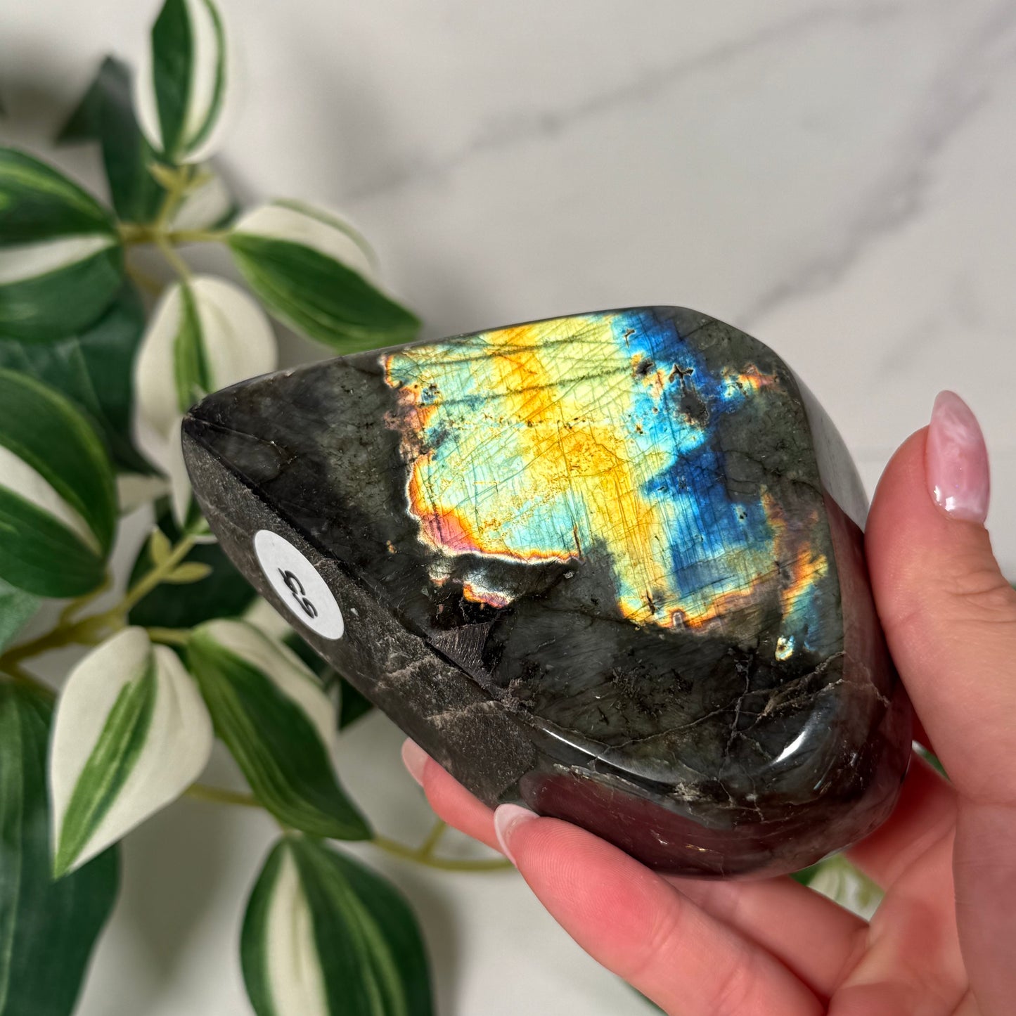 Labradorite freeform 55