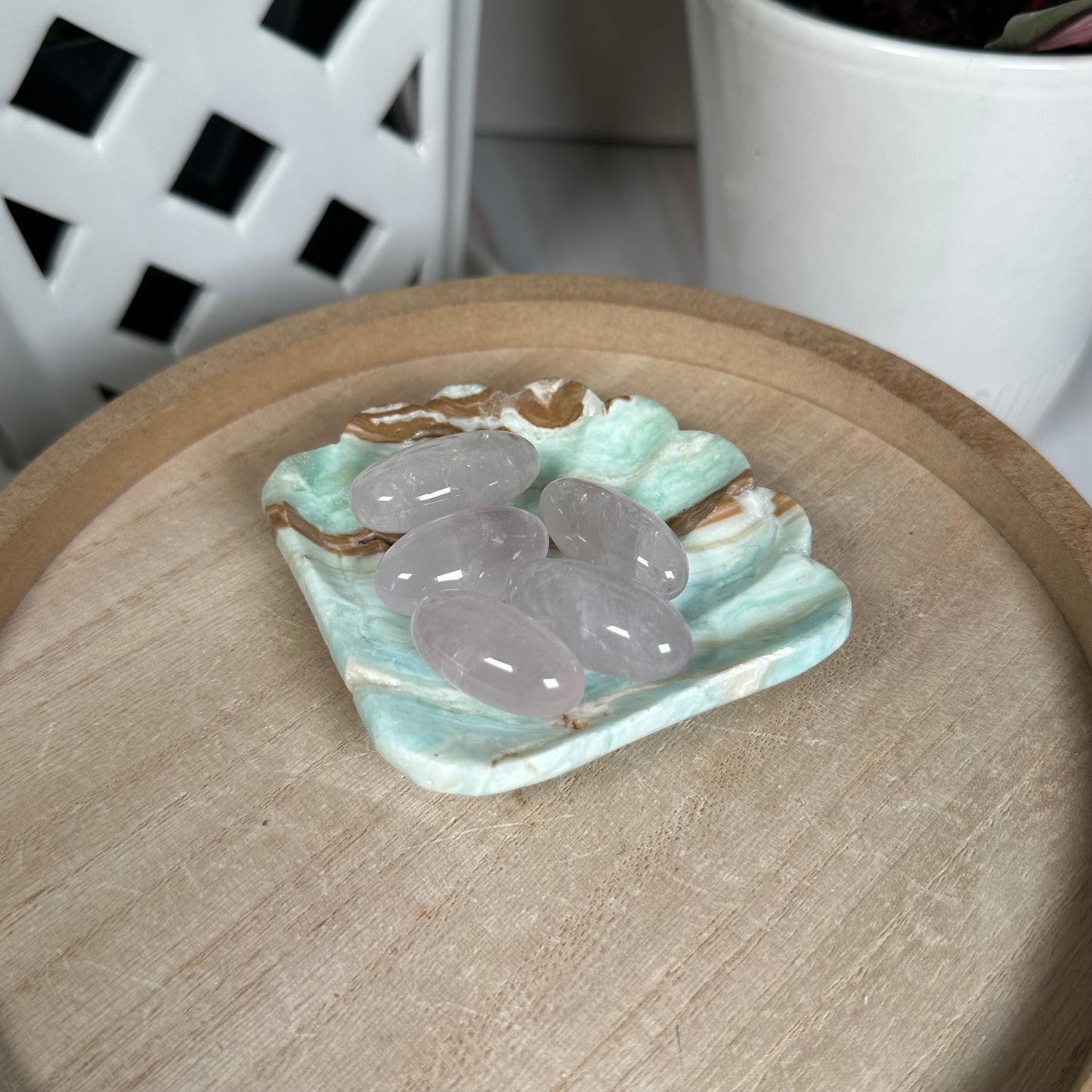 Caribbean calcite shell bowl