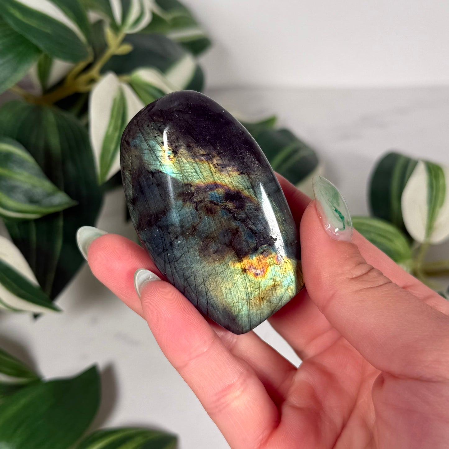 Labradorite freeform 13