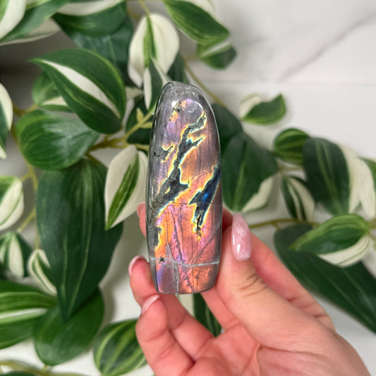 Labradorite freeform 13c