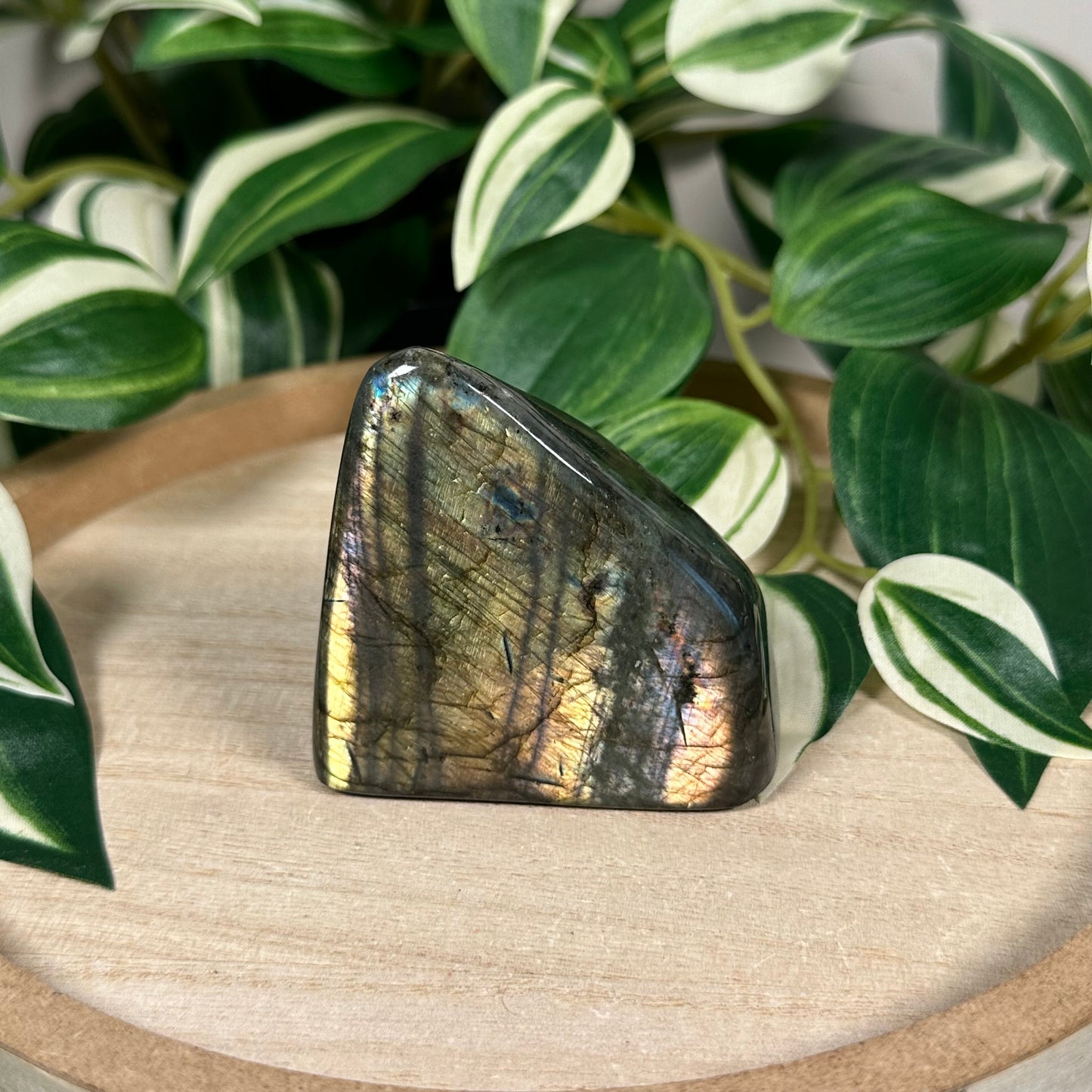 Labradorite freeform 42b