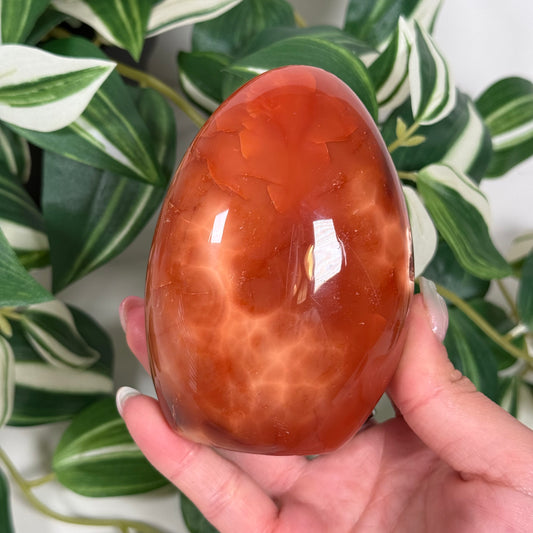 Carnelian freeform 43