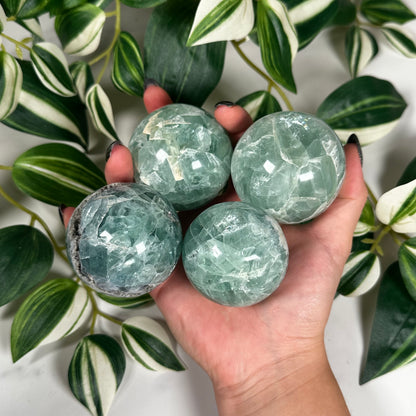 Mexican fluorite sphere-pick your own