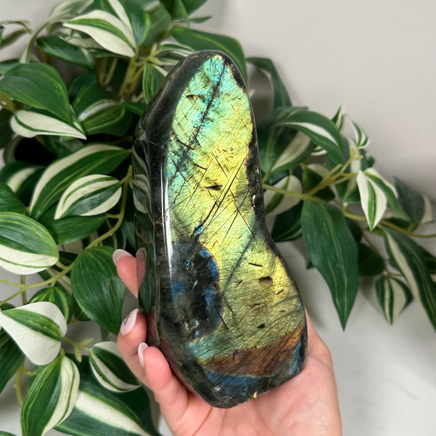 Labradorite freeform 160