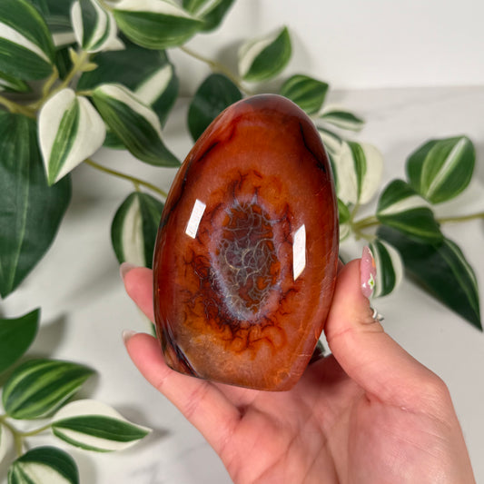 Carnelian freeform 36