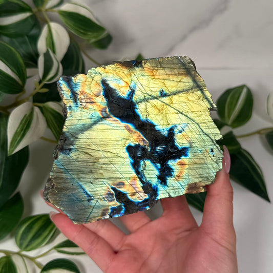Labradorite partially polished freeform 56