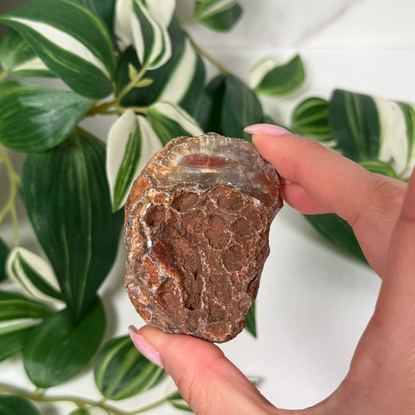 Mozambique agate 40
