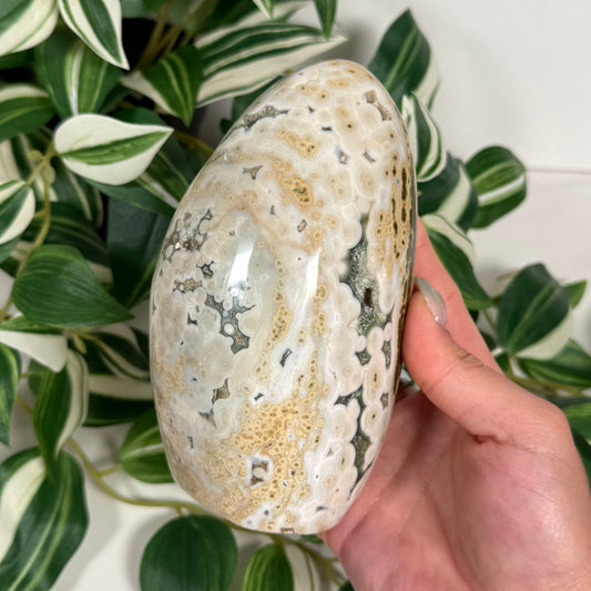 Sea jasper freeform 115