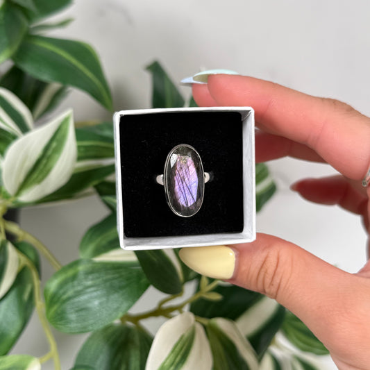 Size 11 purple/pink labradorite ring