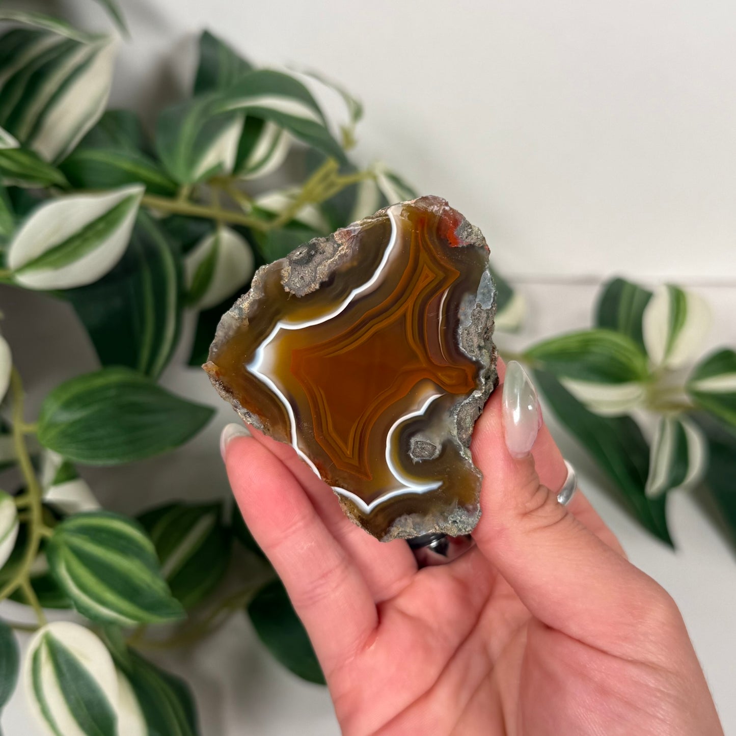 Condor agate 60