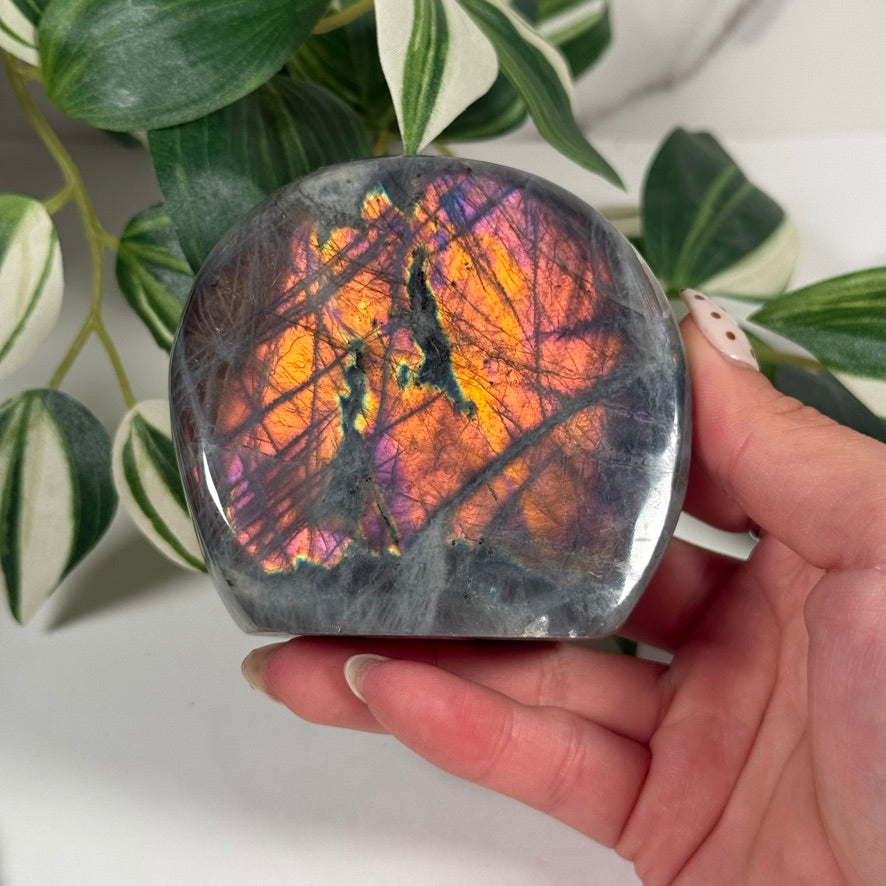 Labradorite freeform 46