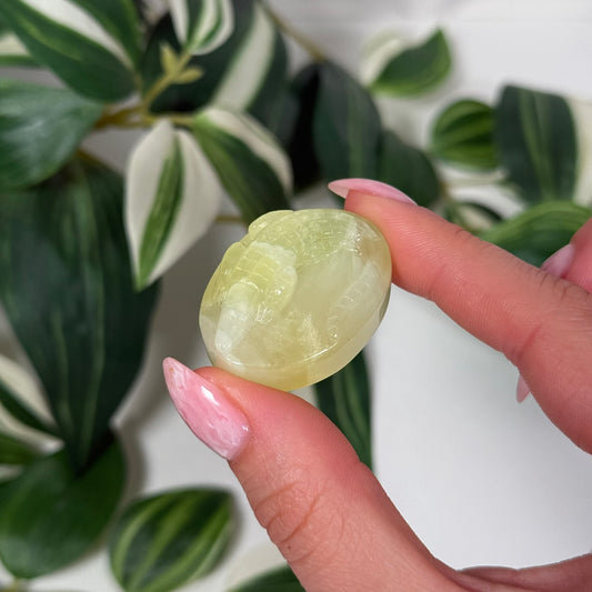 Autralian prehnite alligator
