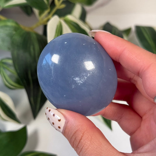 Angelite palmstone 13