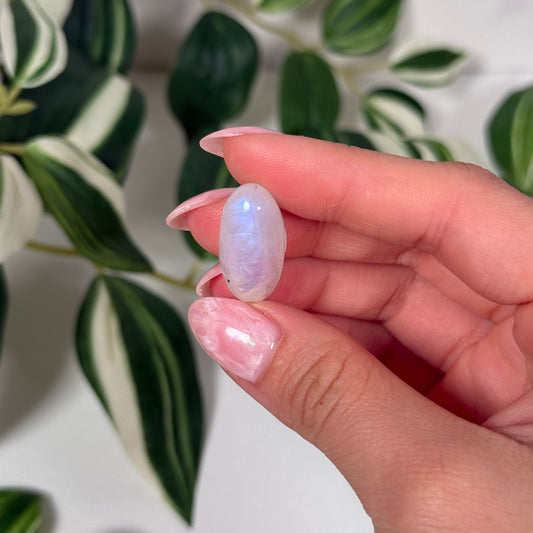 Rainbow moonstone mini shiva