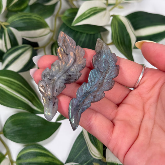 Labradorite feather
