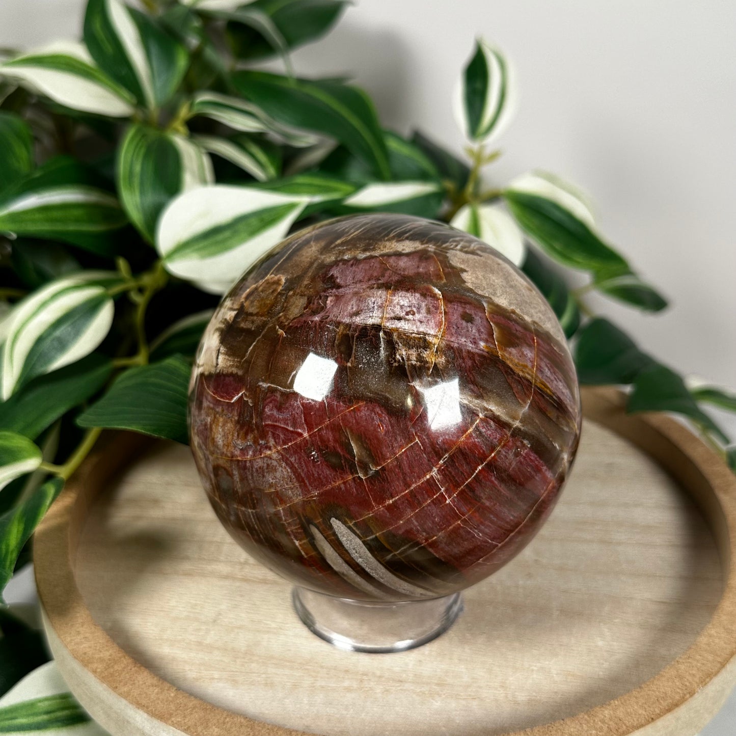 Petrified wood sphere 74