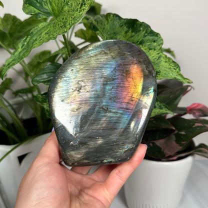 HQ labradorite freeform 231