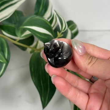 Silver sheen obsidian cat