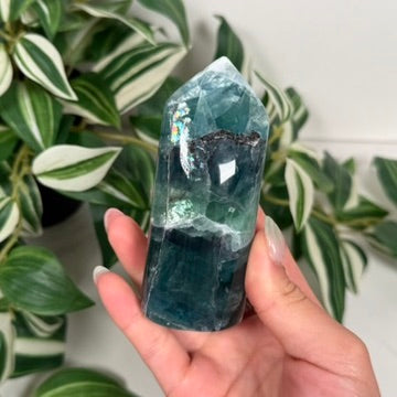 Durango fluorite freeform 62