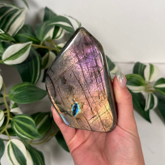 Labradorite freeform 65