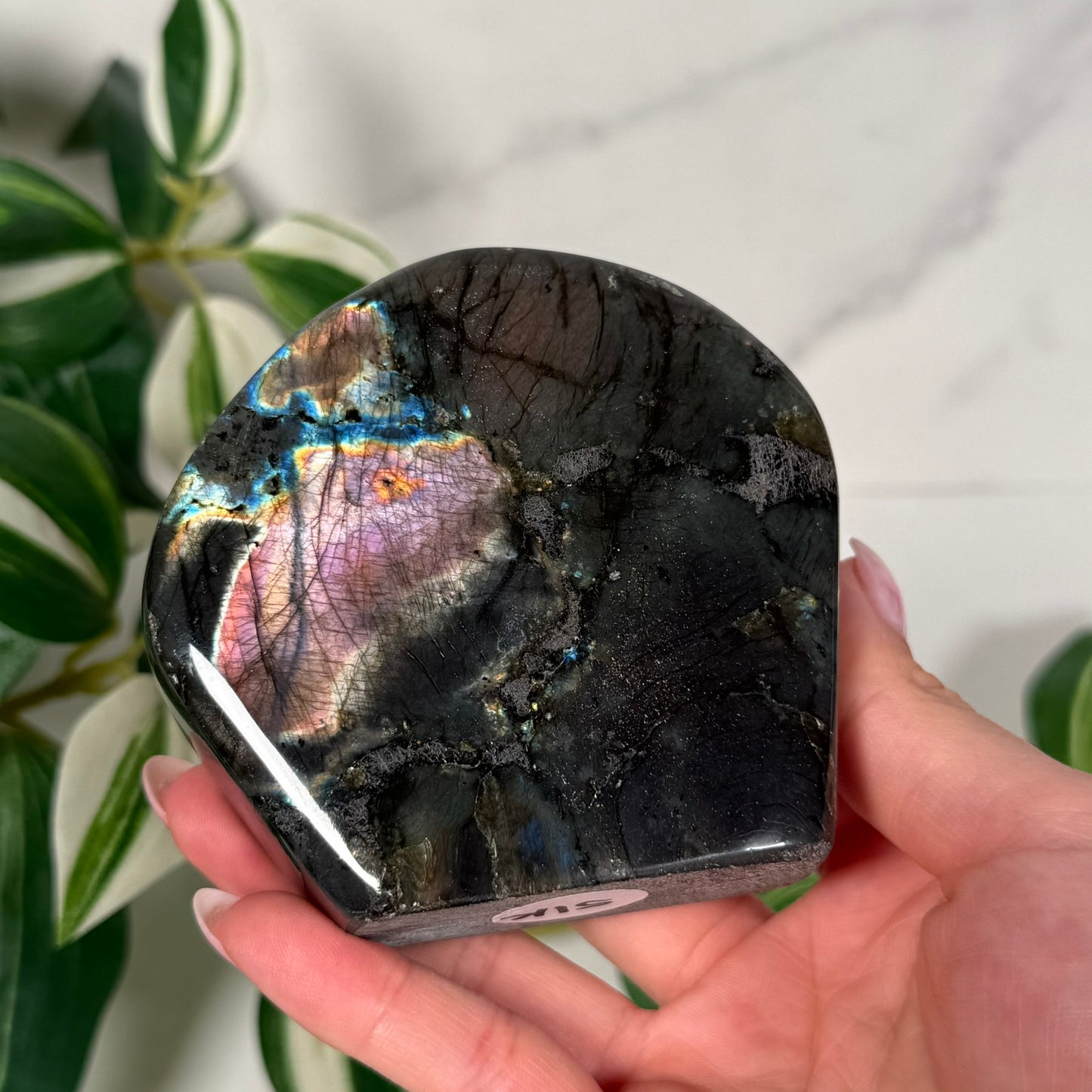 Labradorite freeform 51