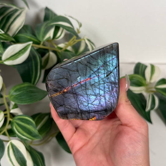 Labradorite freeform 45
